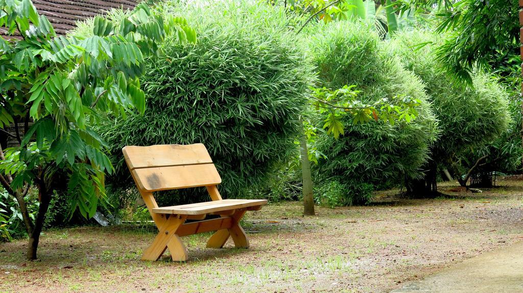 Clayfingers Art Cottage Thrissur Exteriör bild