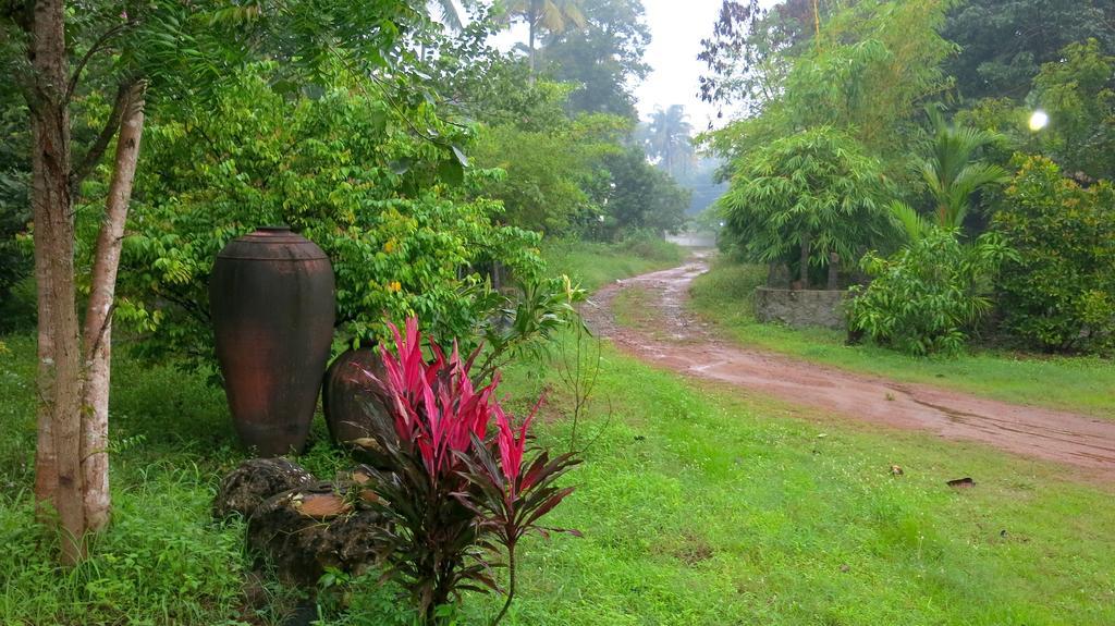 Clayfingers Art Cottage Thrissur Rum bild