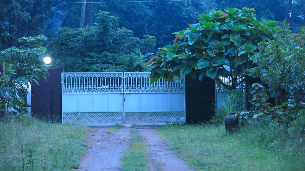 Clayfingers Art Cottage Thrissur Rum bild
