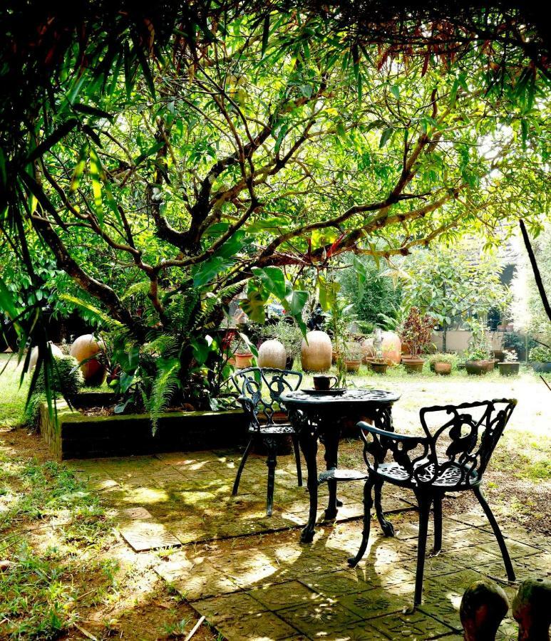 Clayfingers Art Cottage Thrissur Exteriör bild