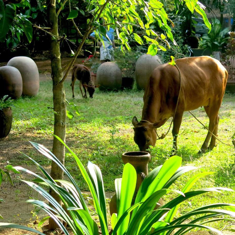 Clayfingers Art Cottage Thrissur Exteriör bild